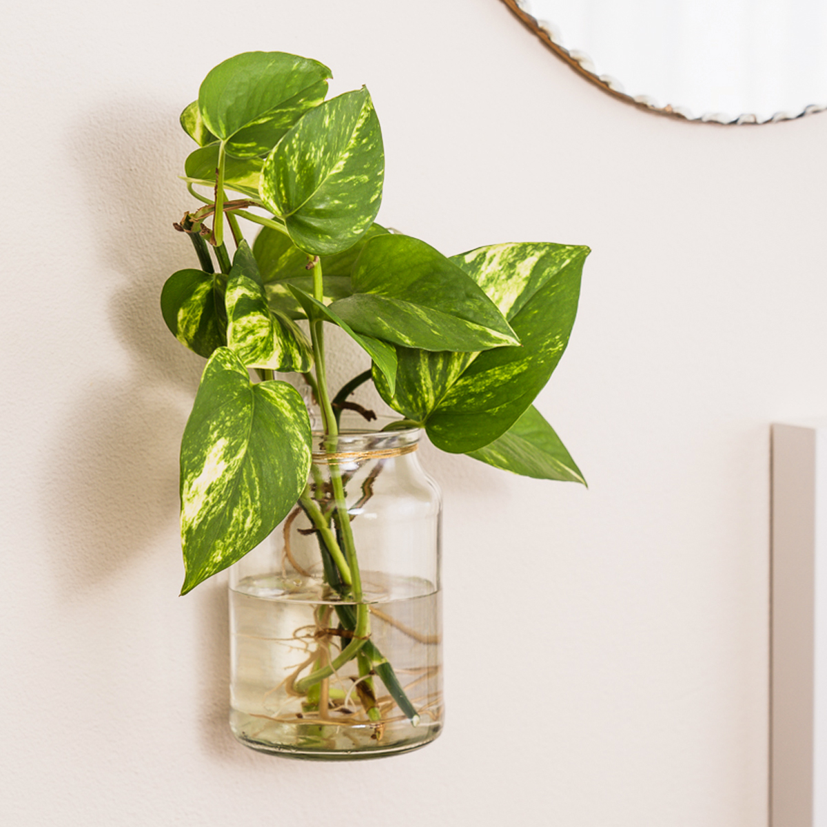 Mounted Vase Jars Our Inspiration Moccona NZ